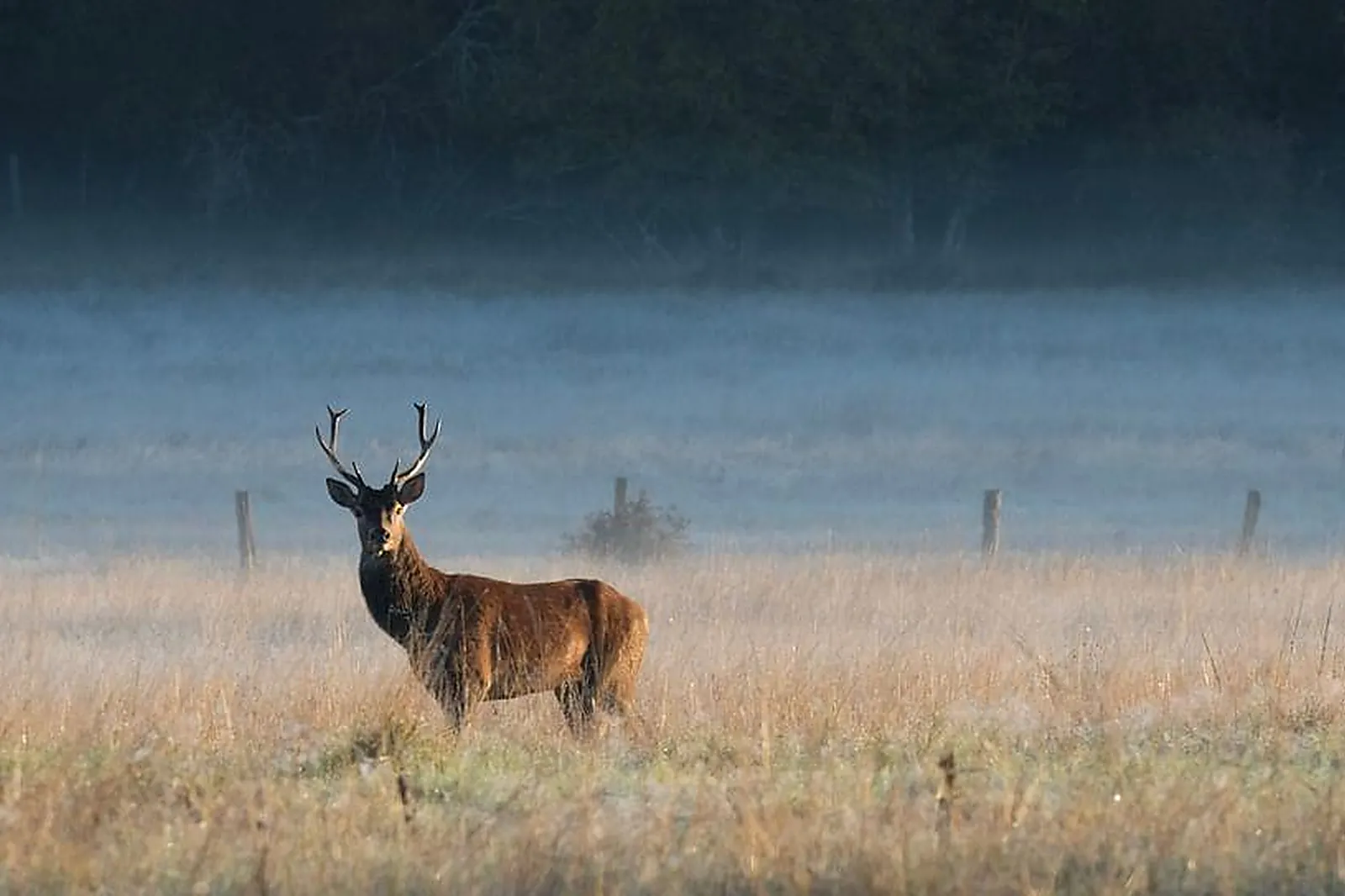 Lieux événementiels, DOMAINE ORANGA RETREATS