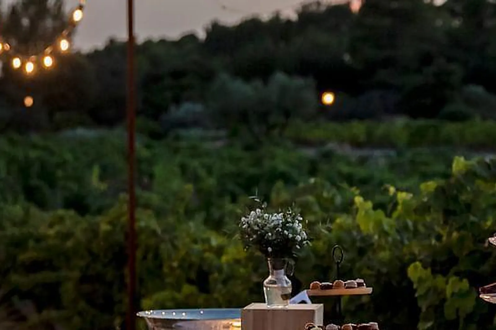 Lieux événementiels, DOMAINE RABIEGA