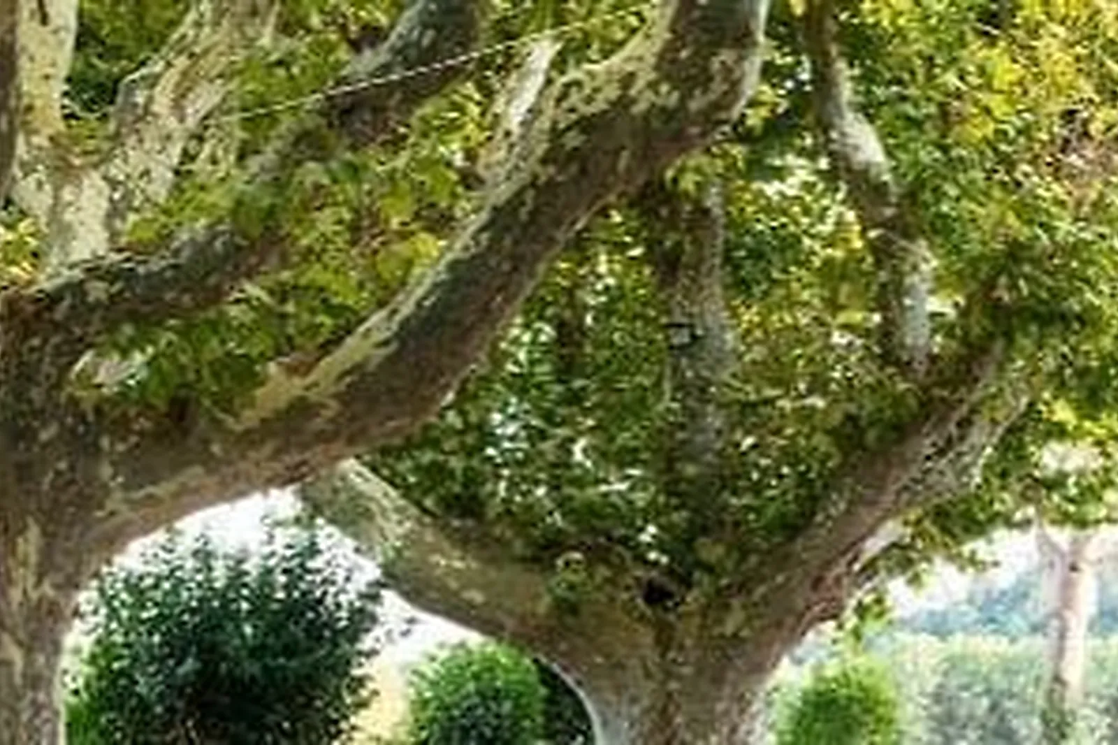 Lieux événementiels, WORK IN PARIS TRINITE