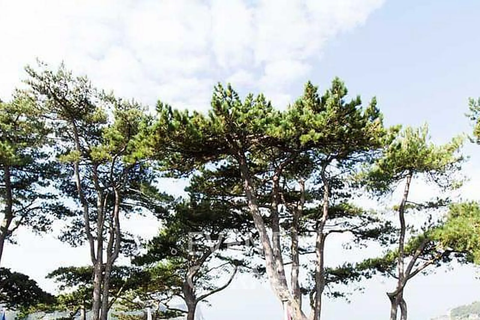 Lieux événementiels, DOMAINE SAINT-CLAIR - LE DONJON ***