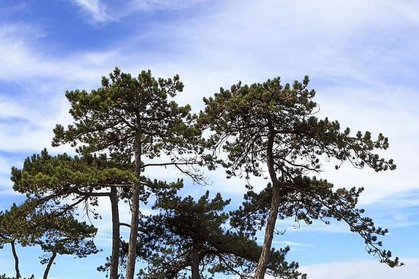 Lieux événementiels, DOMAINE SAINT-CLAIR - LE DONJON ***
