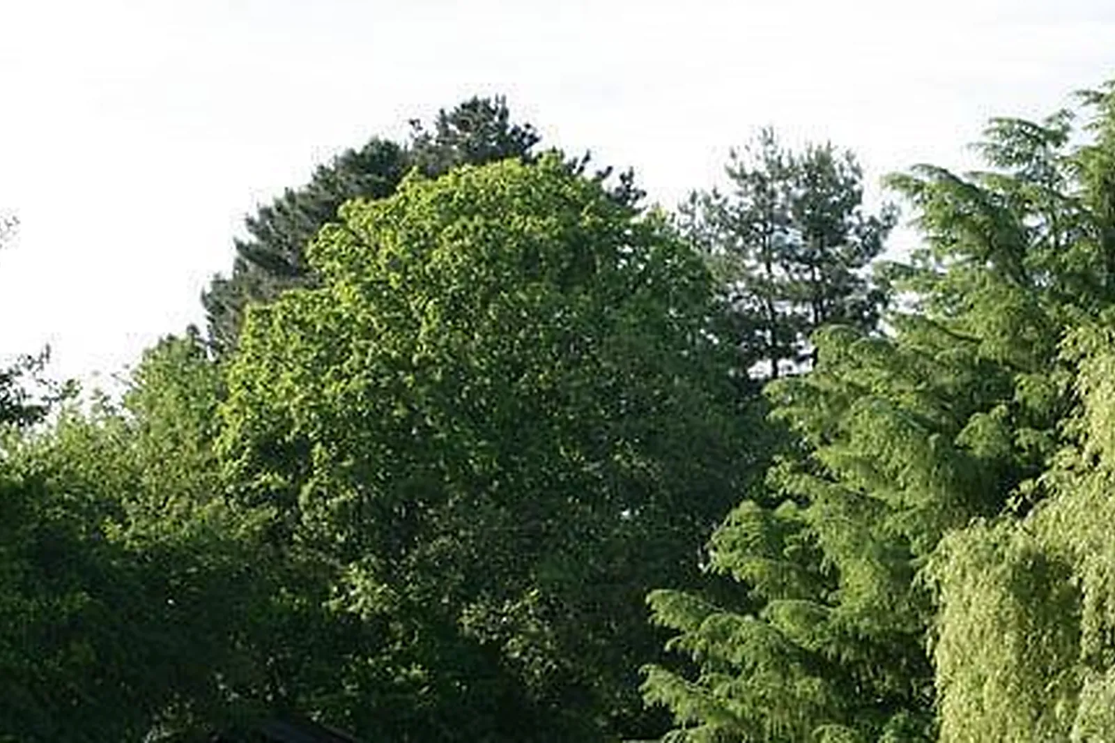 Lieux événementiels, DOMAINE D'AR MILIN'