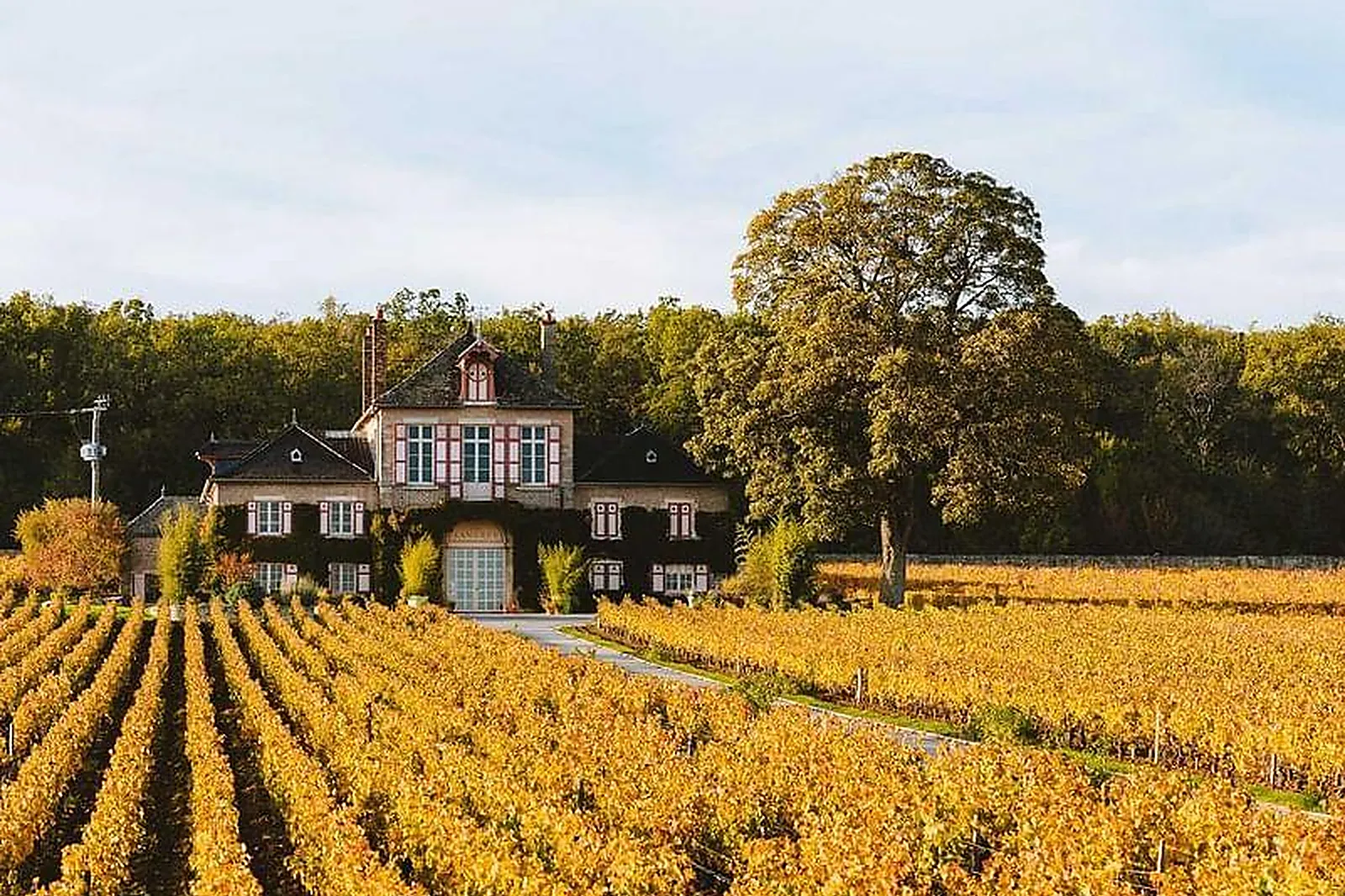 Lieux événementiels, DOMAINE D'ARDHUY