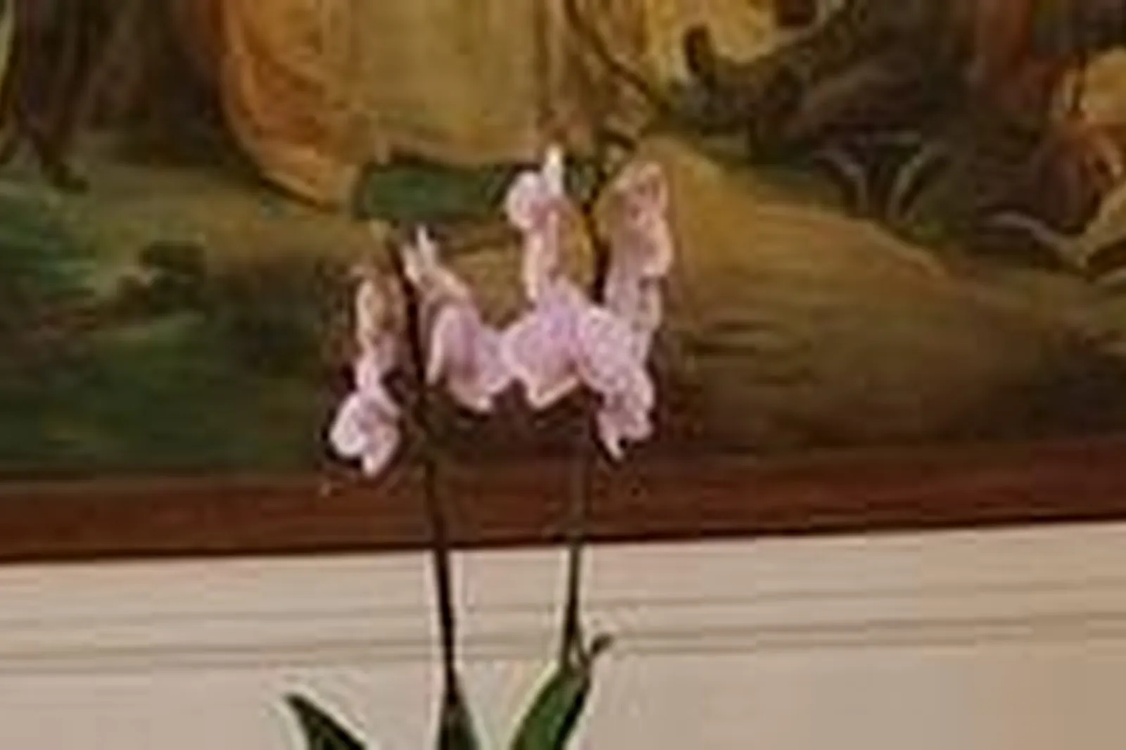 Lieux événementiels, CHÂTEAU DE CHARNIZAY