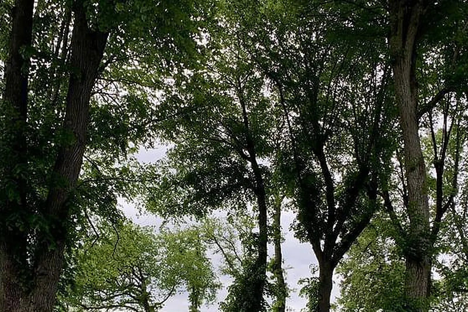 Lieux événementiels, DOMAINE D'ORGEMONT