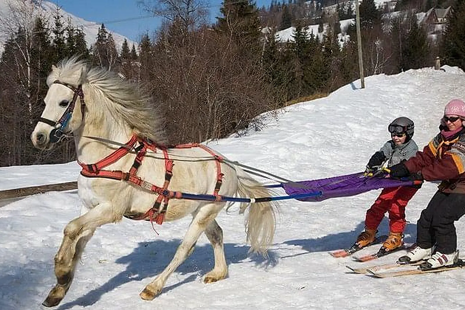 Lieux événementiels, DOMAINE DE BENS