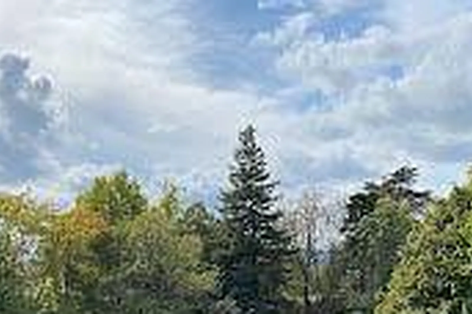 Lieux événementiels, DOMAINE DE BIZE