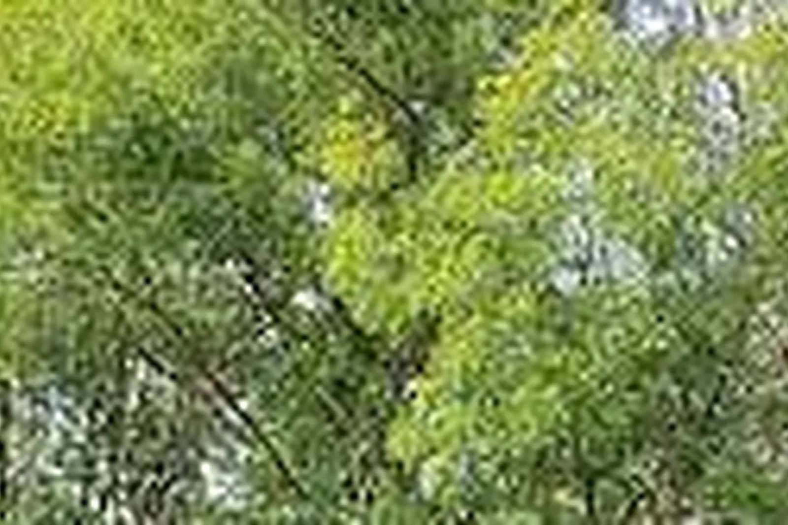 Lieux événementiels, DOMAINE DE BIZE