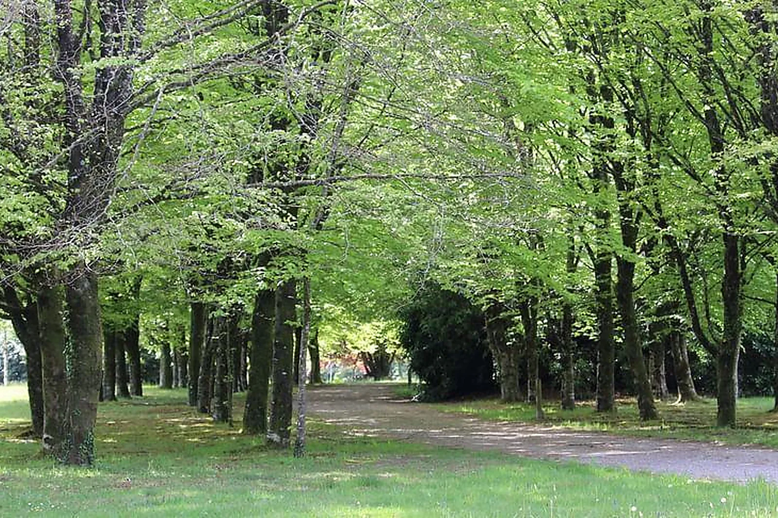 Lieux événementiels, DOMAINE DE COLPO