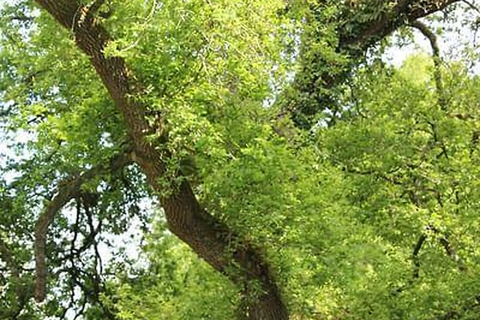 Lieux événementiels, DOMAINE DE COLPO