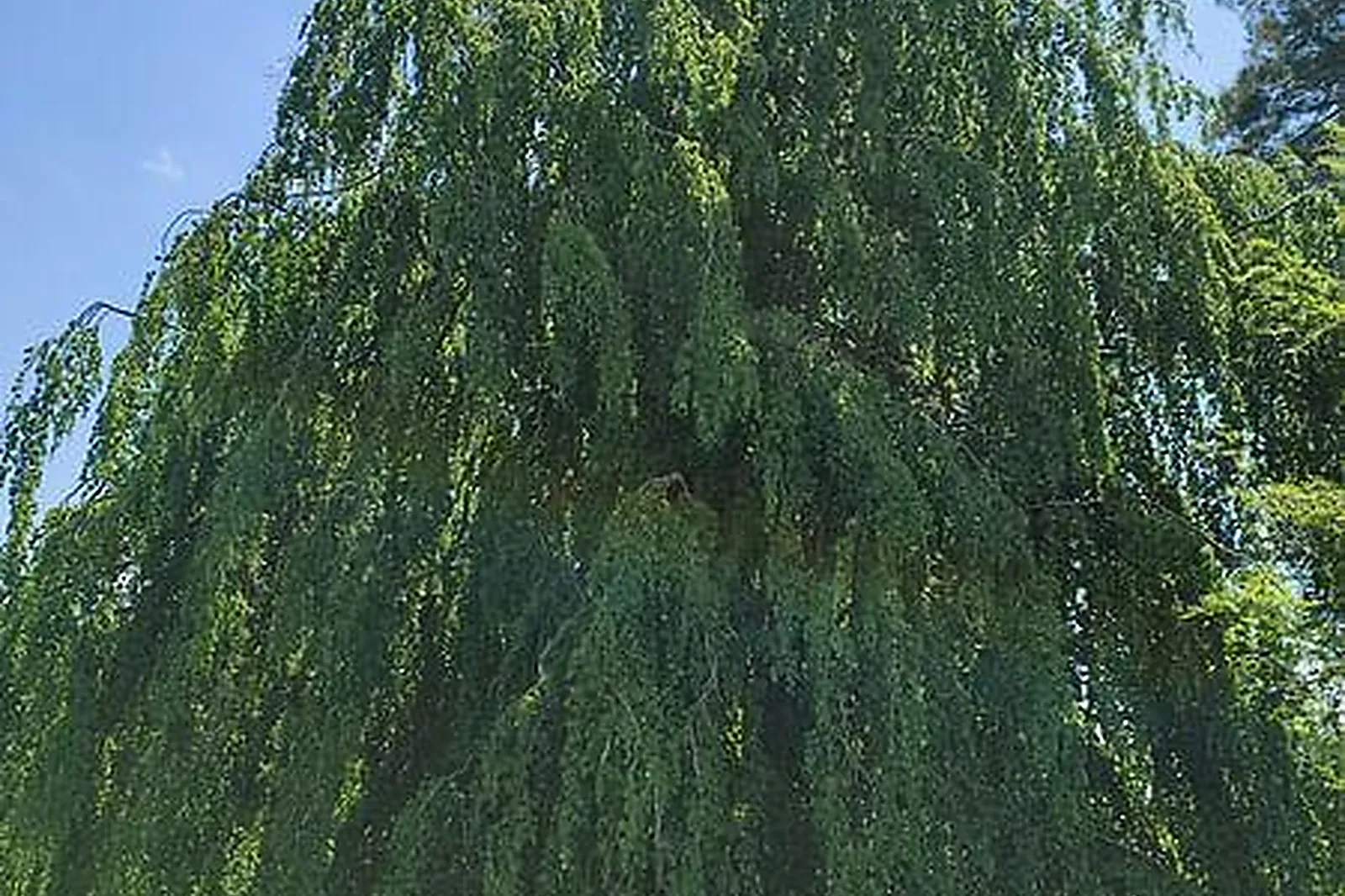 Lieux événementiels, DOMAINE DE COLPO