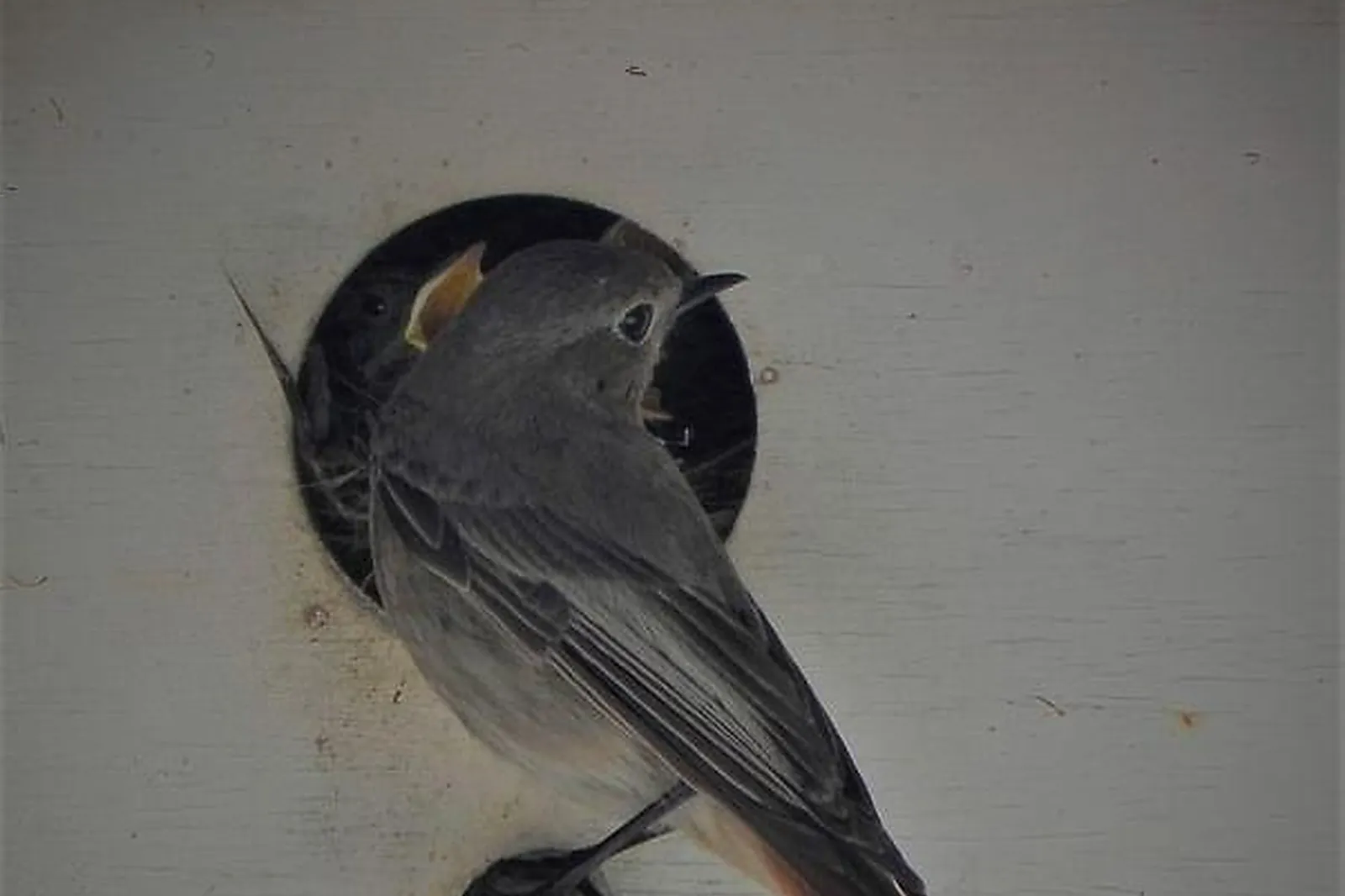 Lieux événementiels, DOMAINE DE GARAT