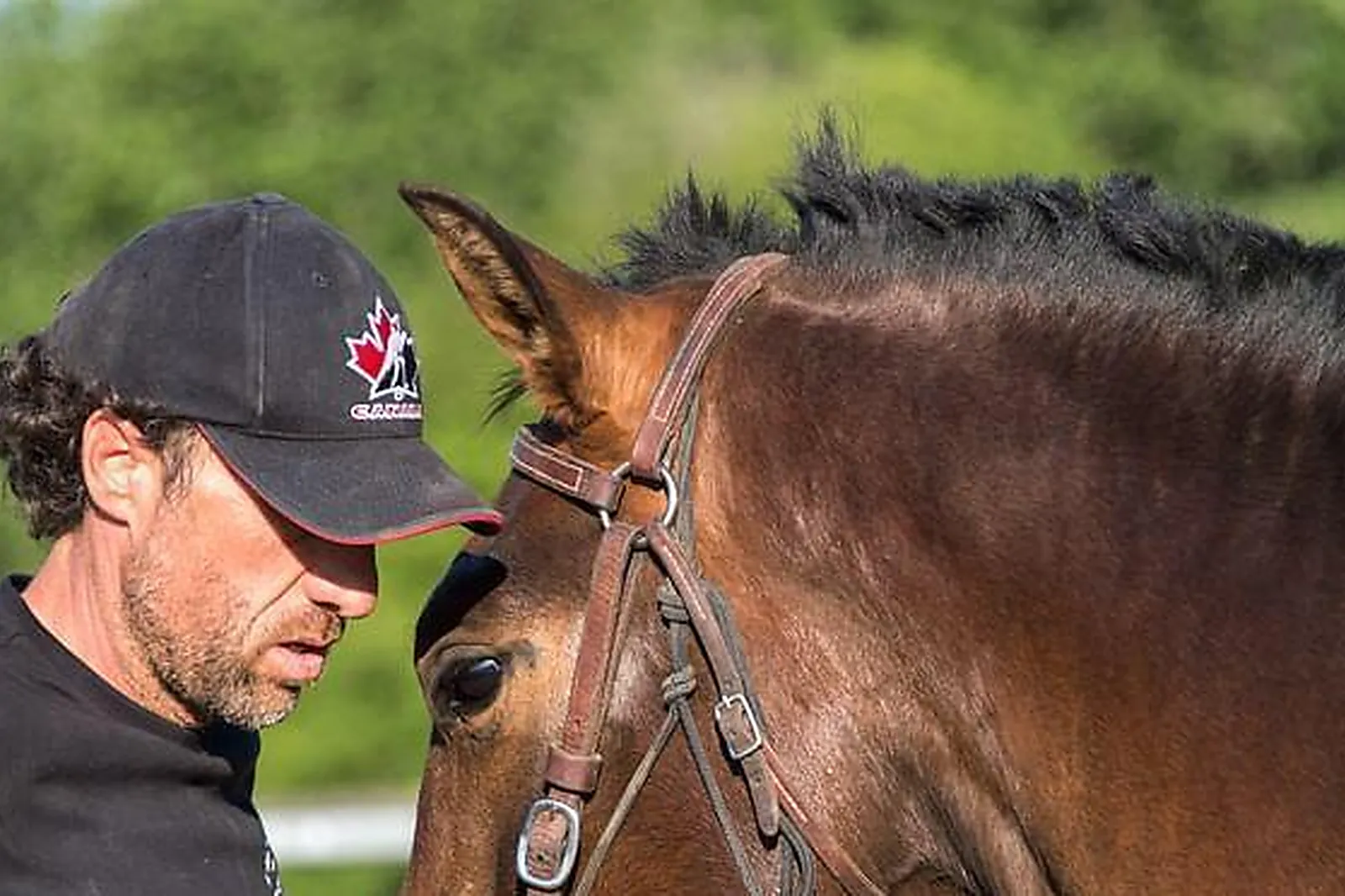 Lieux événementiels, LE COUARAIL
