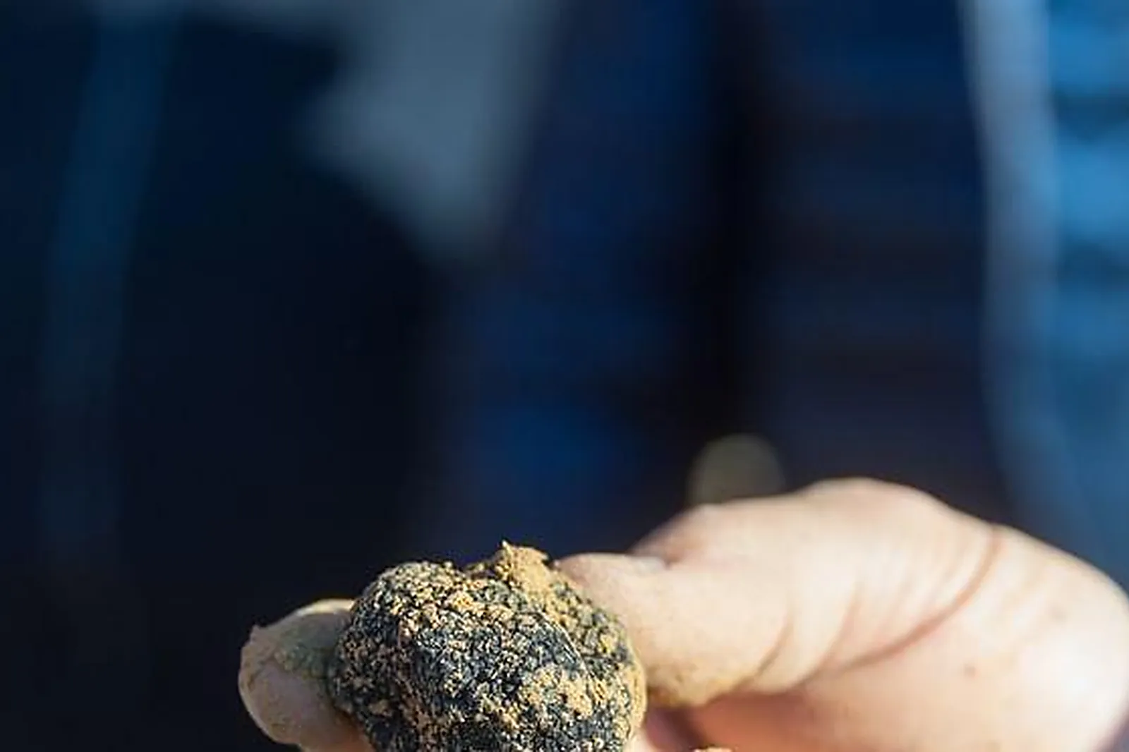 Lieux événementiels, LE COUARAIL