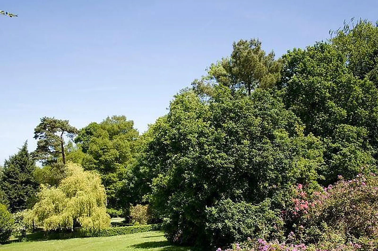 Lieux événementiels, SUNDESK BIOT