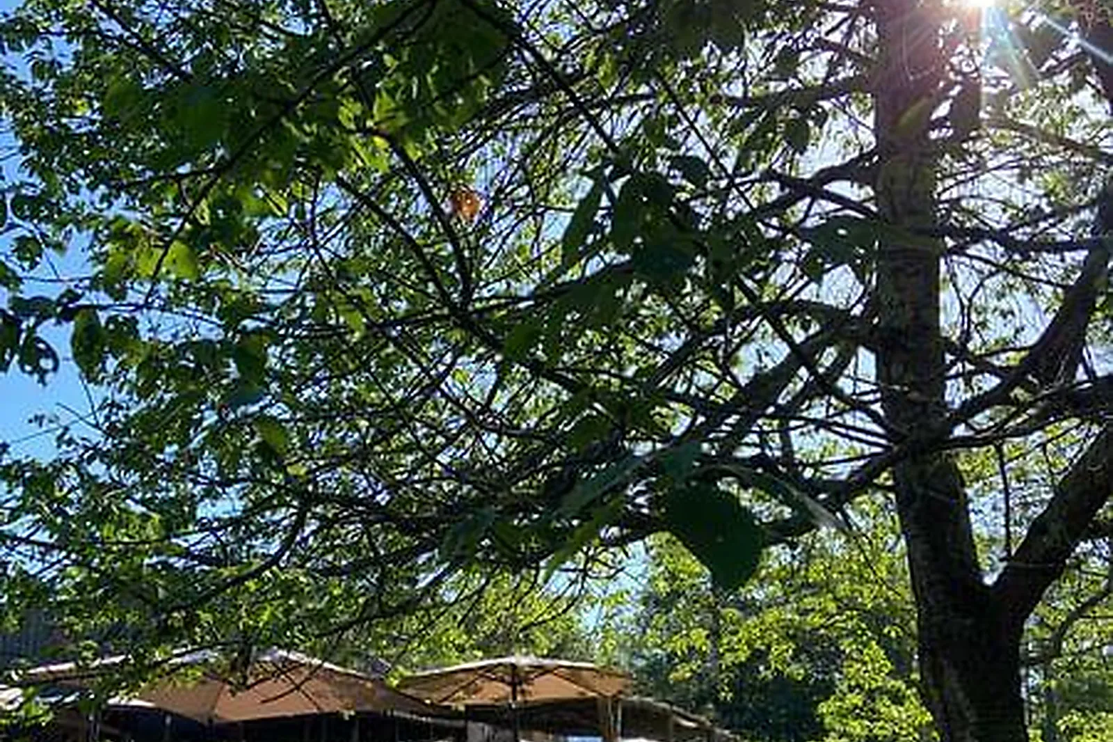 Lieux événementiels, DOMAINE DE L'EPAU