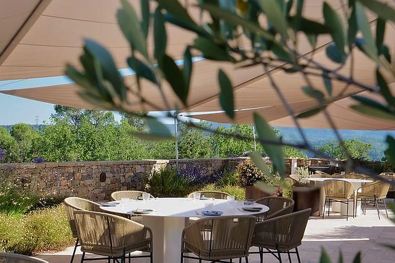 Lieux événementiels, DOMAINE DE LA MARTINETTE