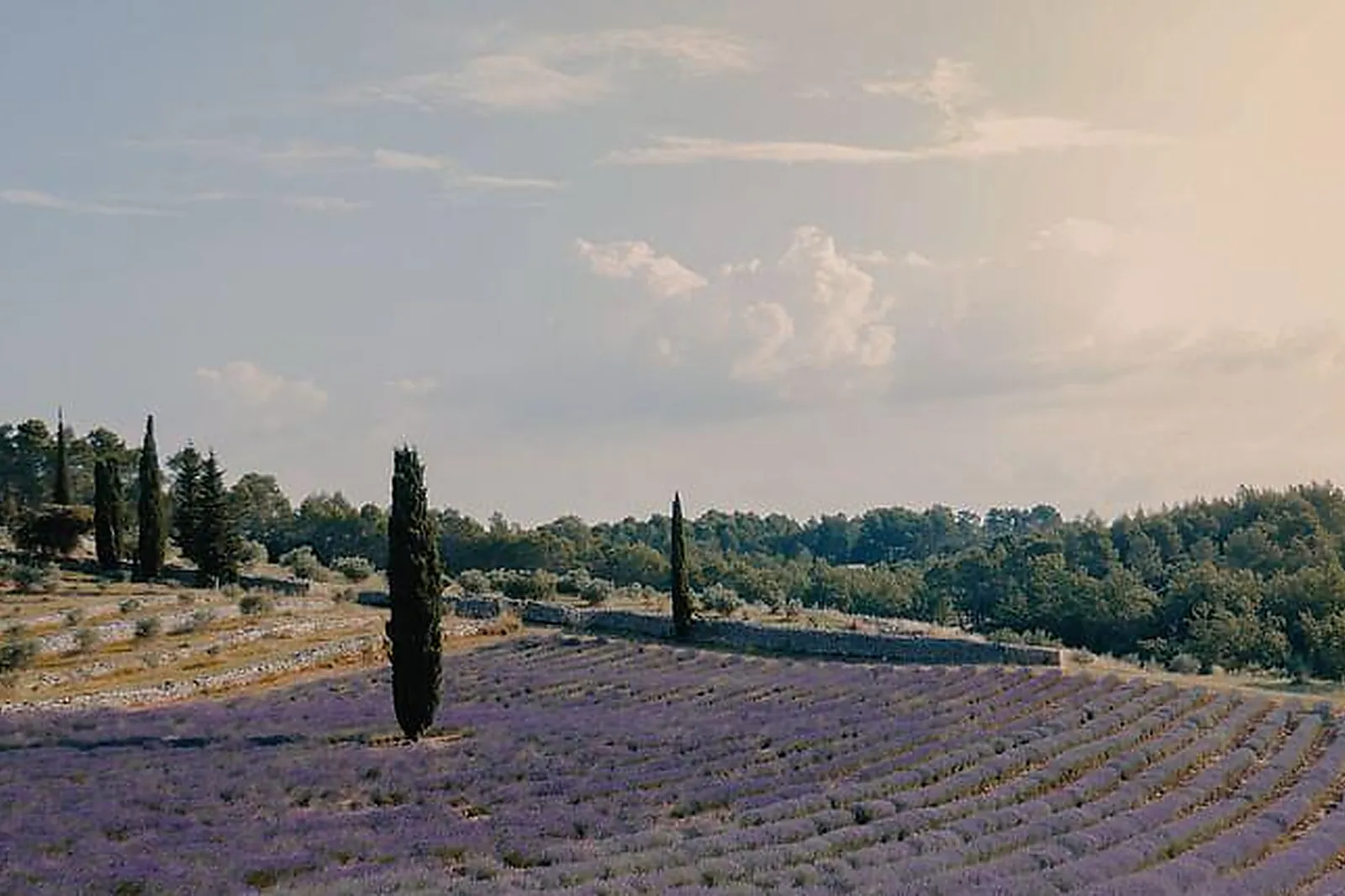 Lieux événementiels, DOMAINE DE LA MARTINETTE