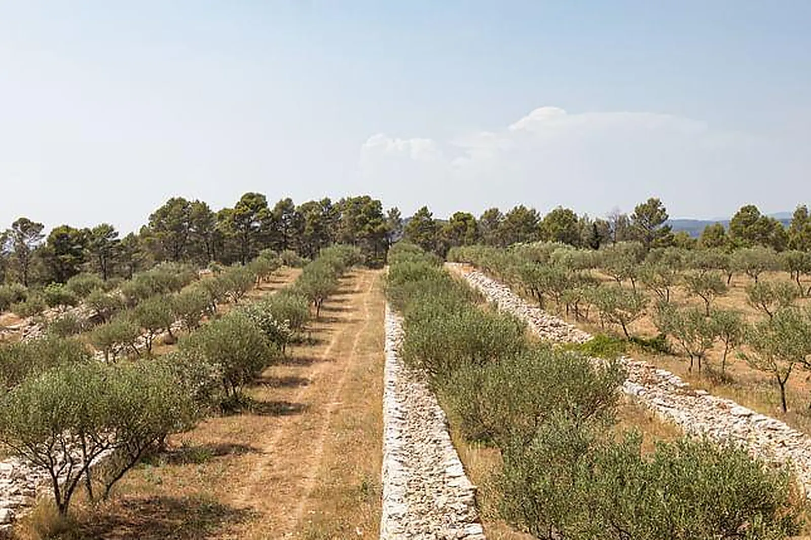 Lieux événementiels, DOMAINE DE LA MARTINETTE