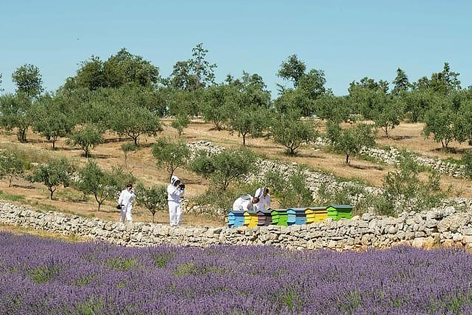 Lieux événementiels, DOMAINE DE LA MARTINETTE
