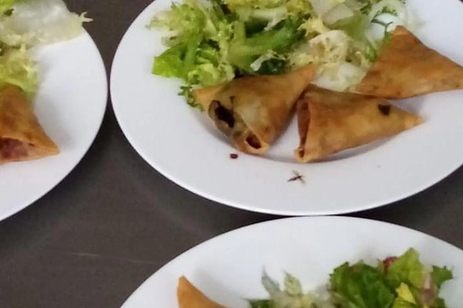 Lieux événementiels, DOMAINE DE PLADUC