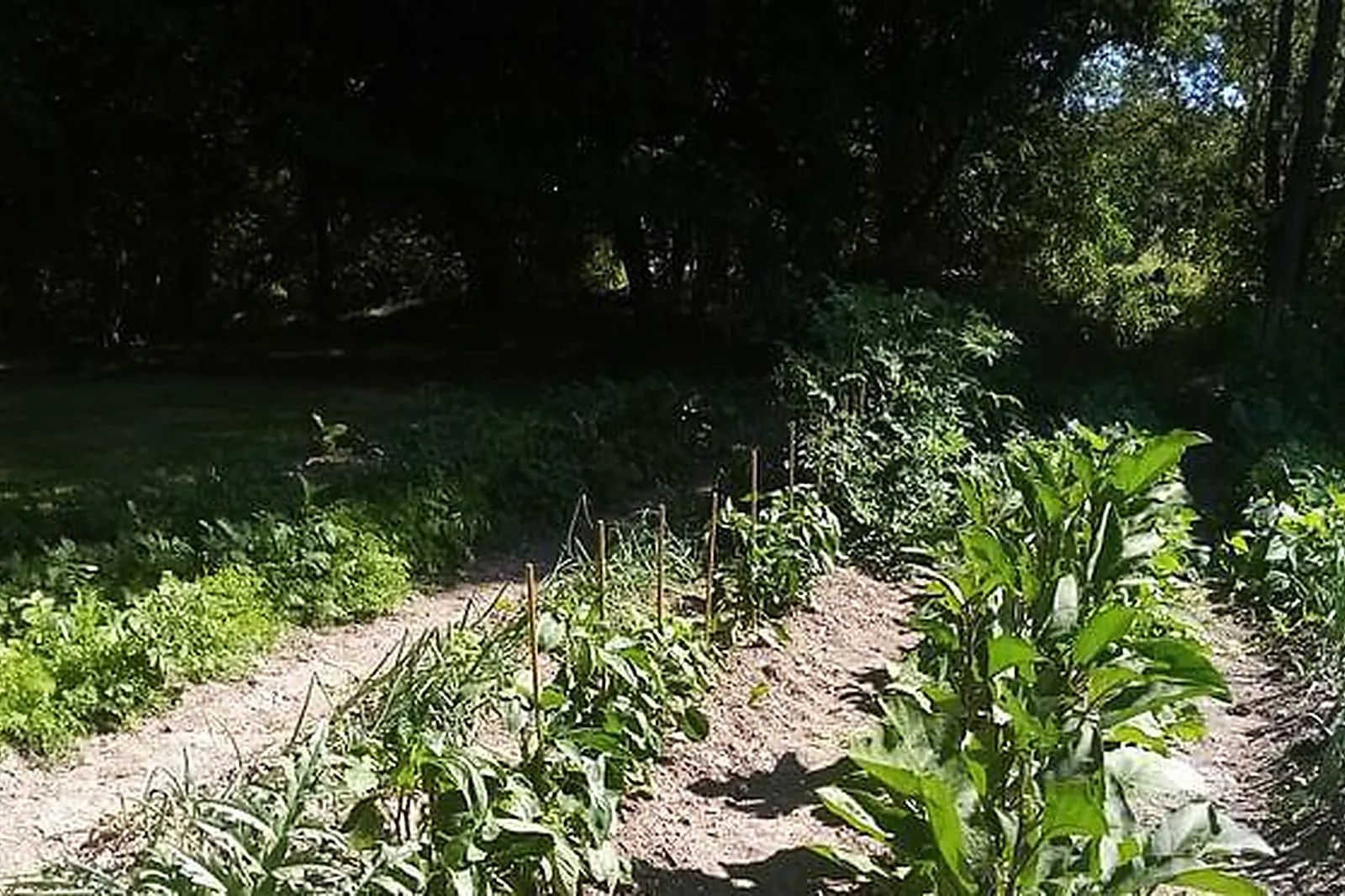 Lieux événementiels, DOMAINE DE PLADUC