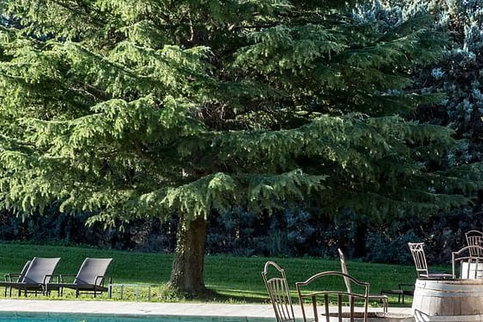 Lieux événementiels, DOMAINE DE ROQUEROUSSE***