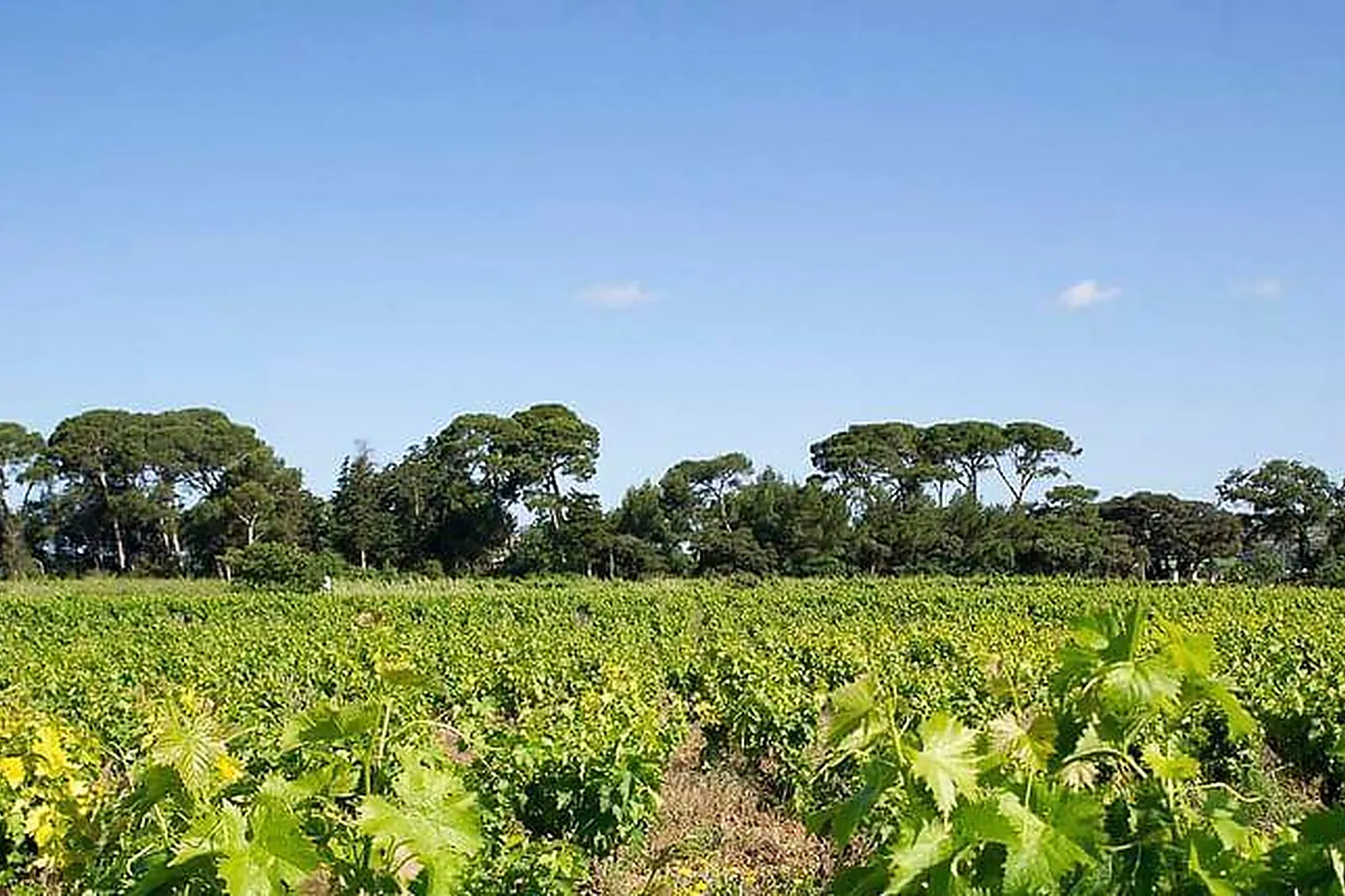 Lieux événementiels, DOMAINE DE SELHAC