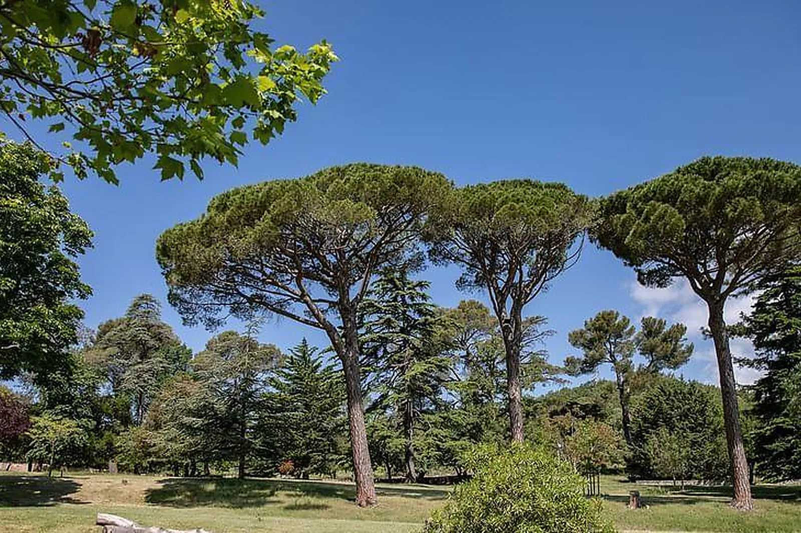 Lieux événementiels, DOMAINE DE TOURRIS
