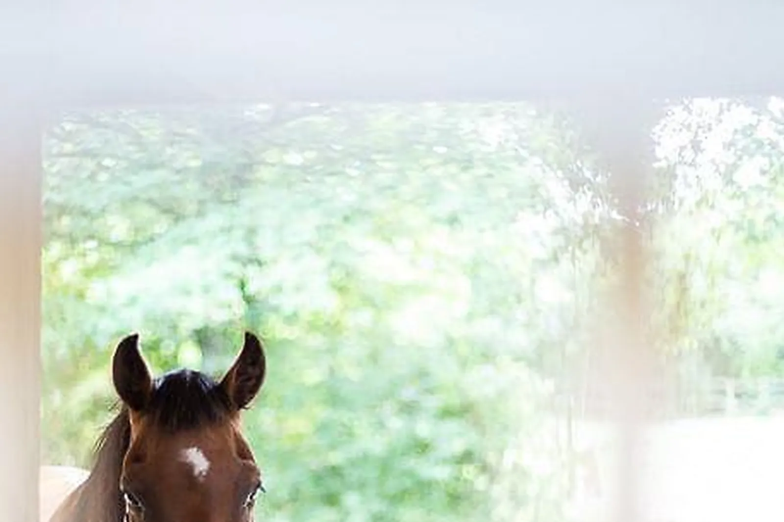 Lieux événementiels, DOMAINE DE L'OISELIÈRE