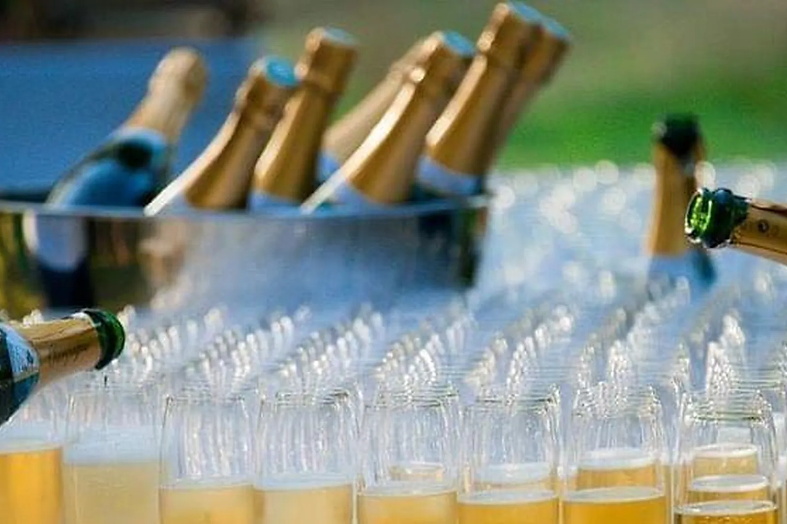 Lieux événementiels, DOMAINE DE L'OISELIÈRE