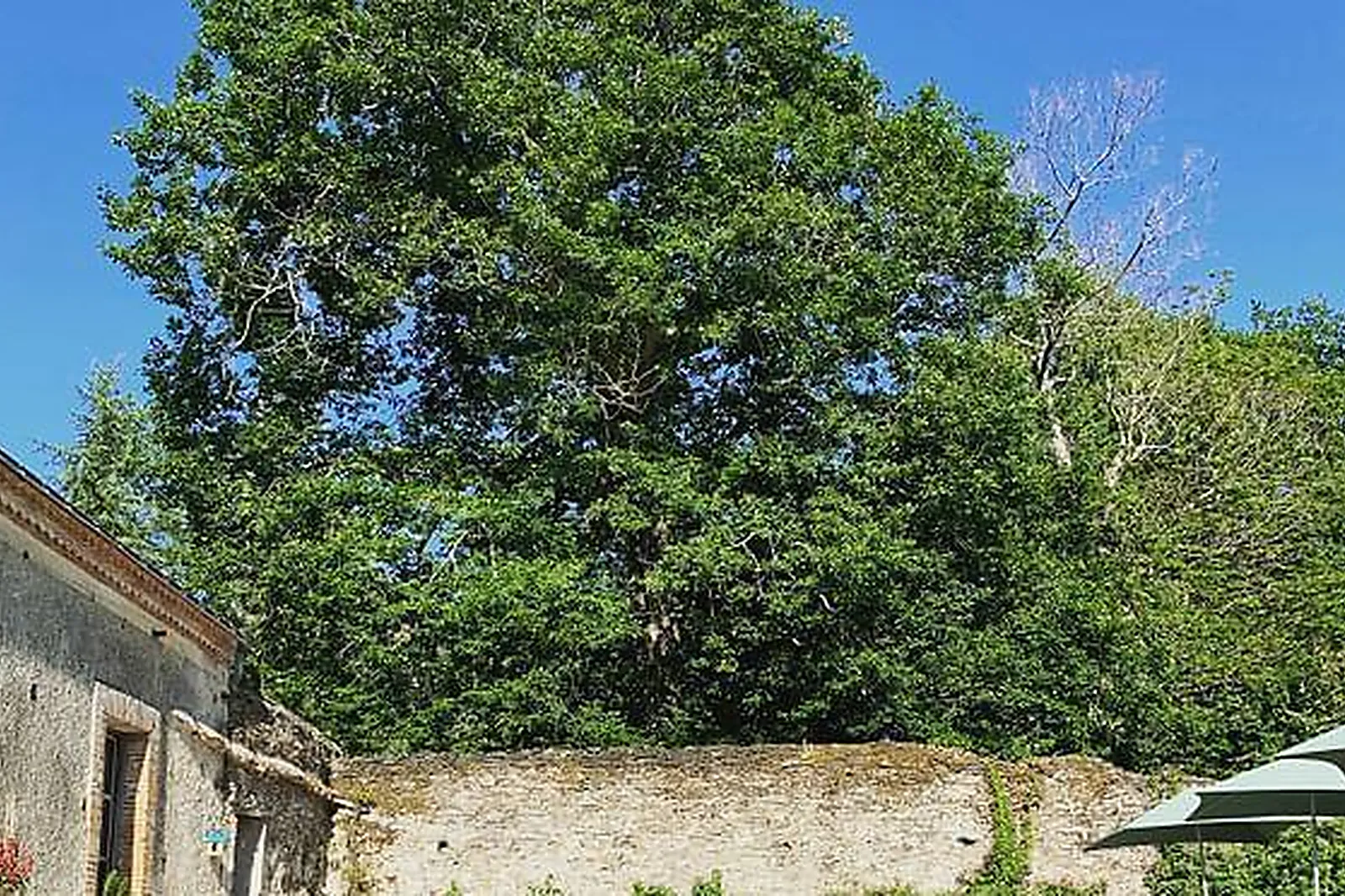 Lieux événementiels, LE COLLÈGE SUPÉRIEUR LYON