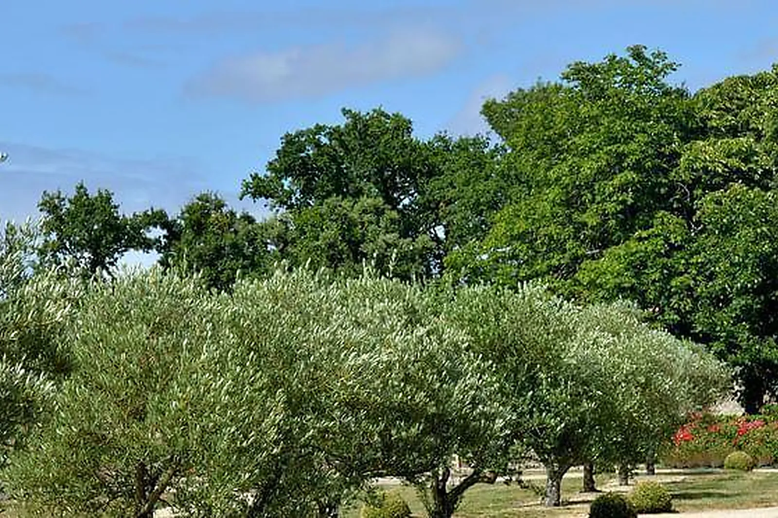 Lieux événementiels, LA MAISON DE LA CONVERSATION