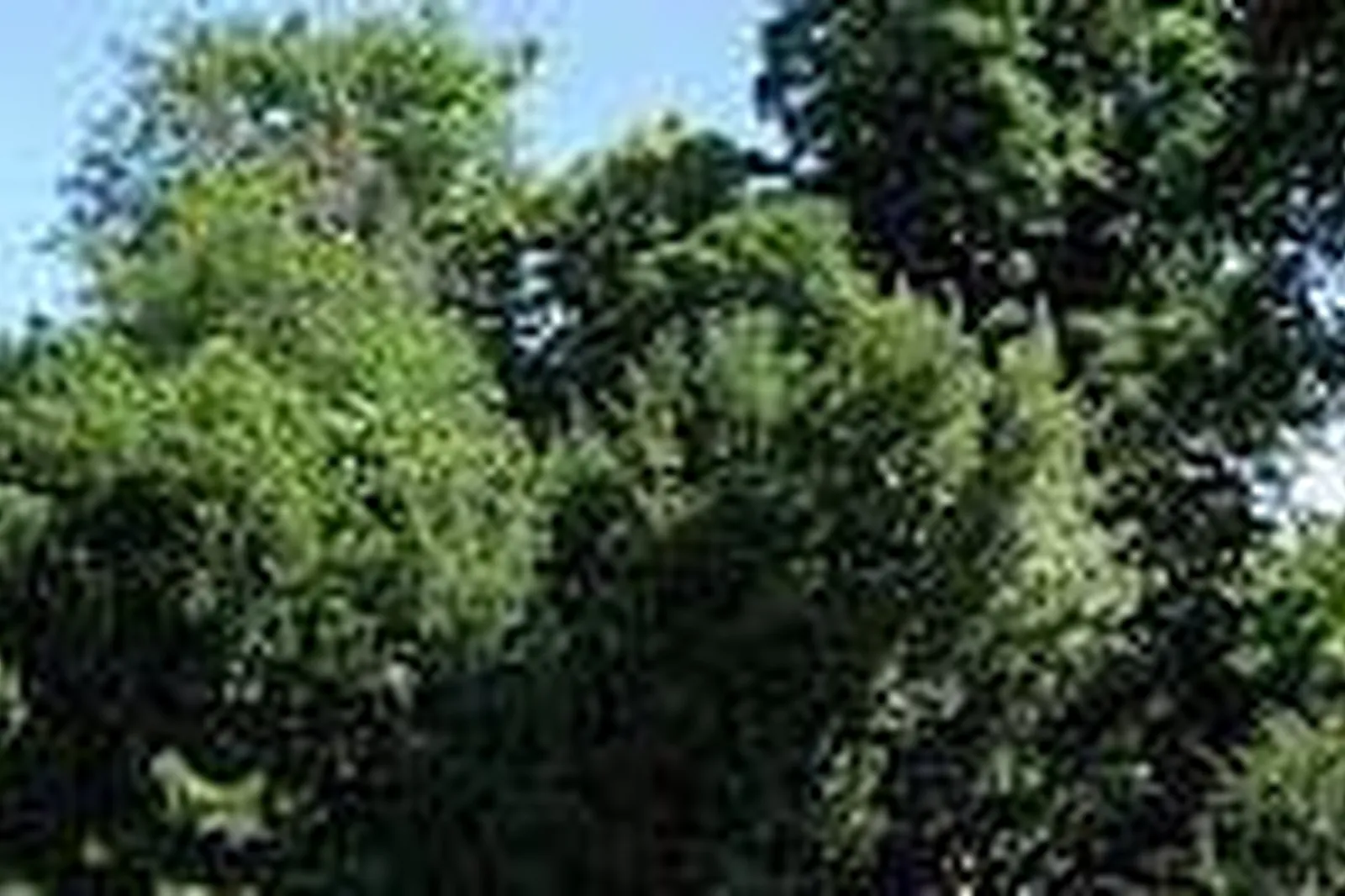 Lieux événementiels, DOMAINE DE LA COURT D’ARON