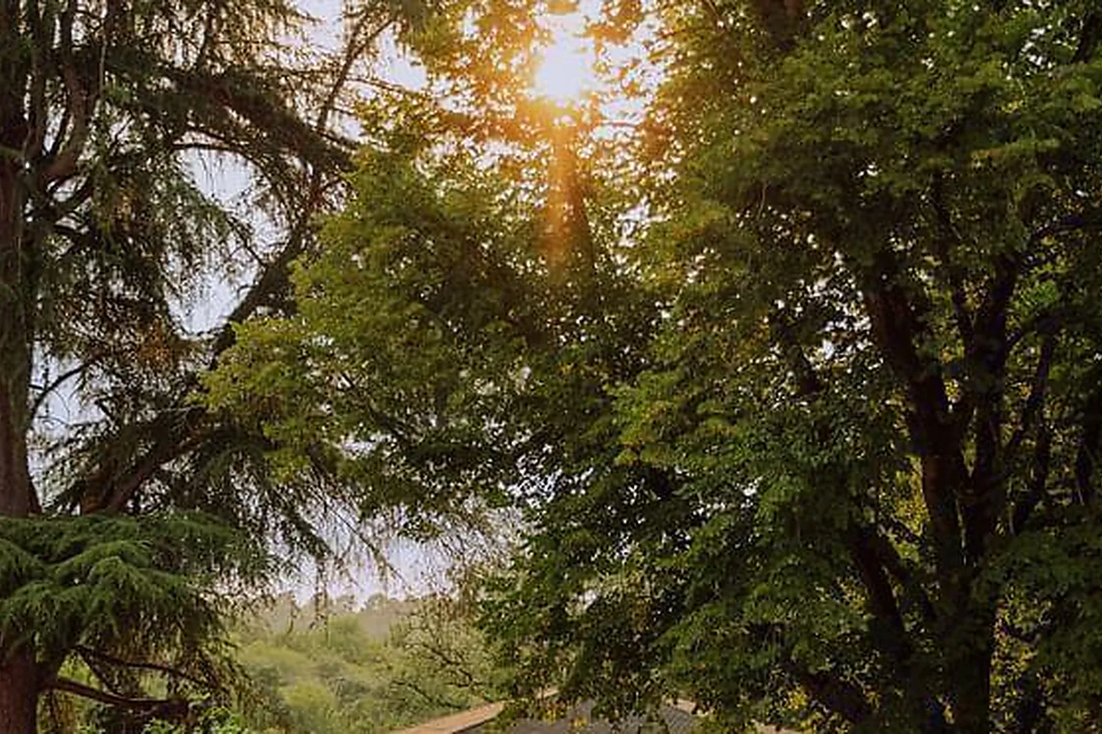 Lieux événementiels, DOMAINE DE LA FAUCONNIE