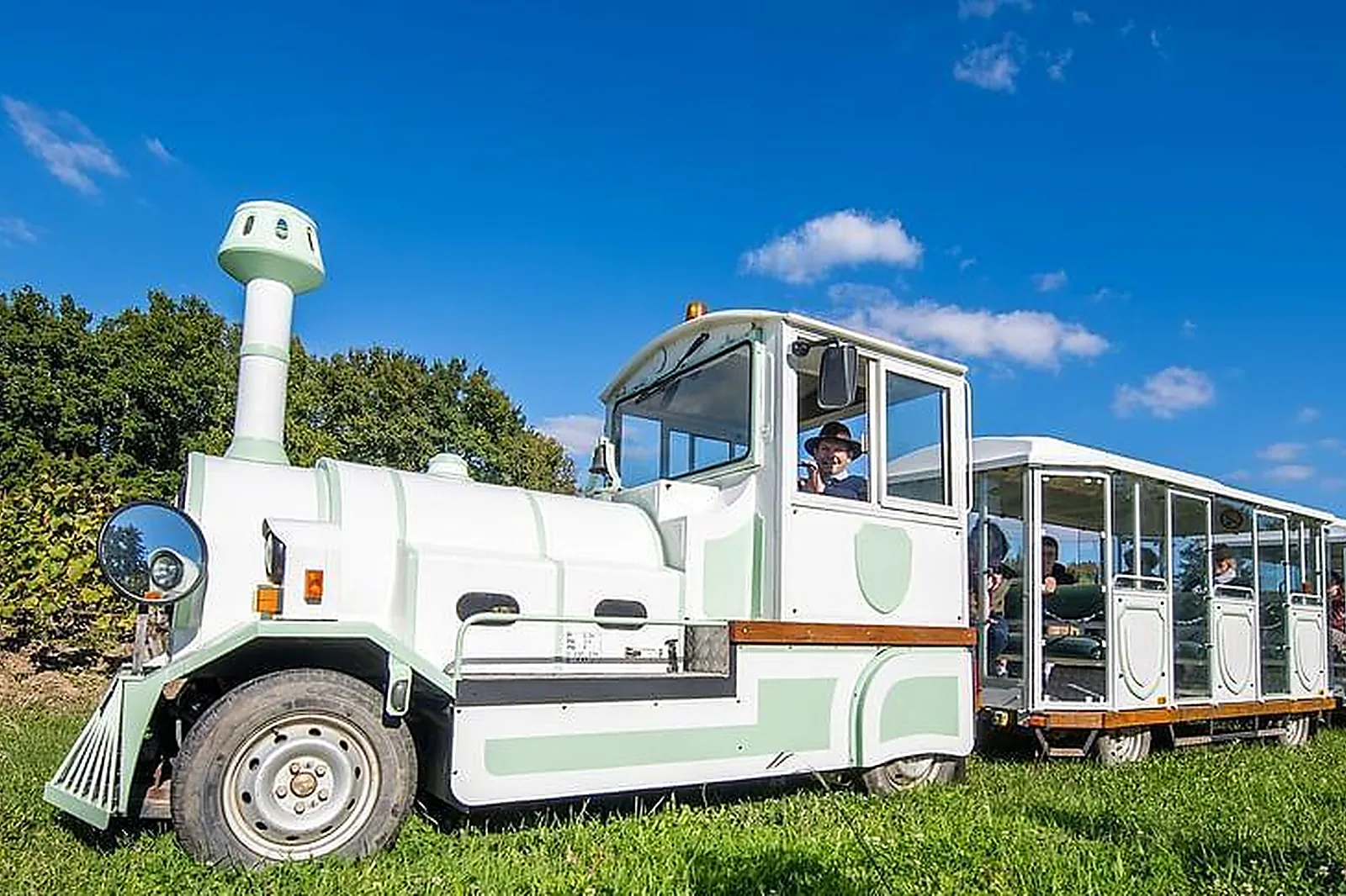 Lieux événementiels, DOMAINE DE LA GRAVE