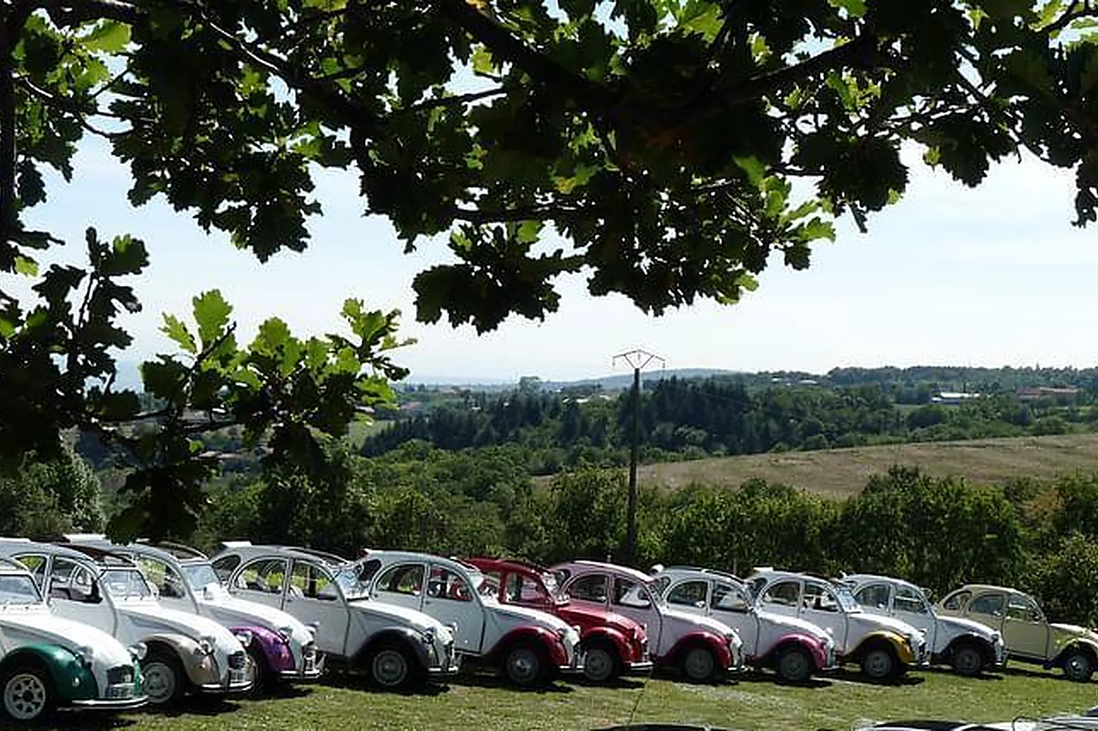 Lieux événementiels, SUPREME