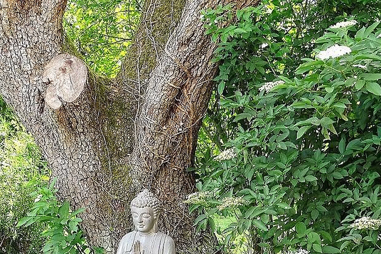 Lieux événementiels, DOMAINE DE LA LOUVETIÈRE