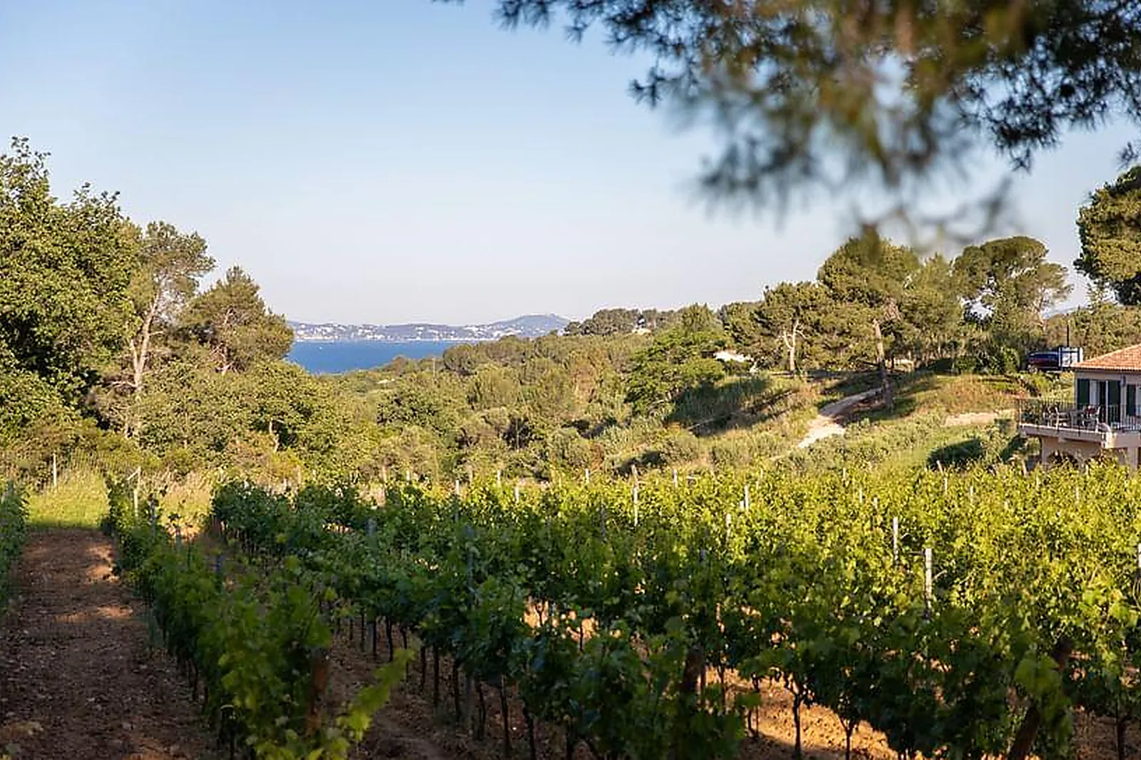 Lieux événementiels, DOMAINE DE LA NAVICELLE