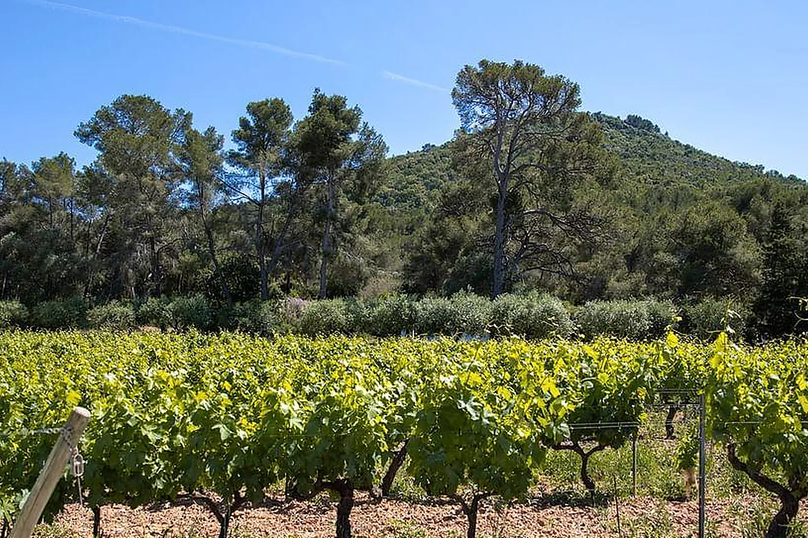 Lieux événementiels, DOMAINE DE LA NAVICELLE