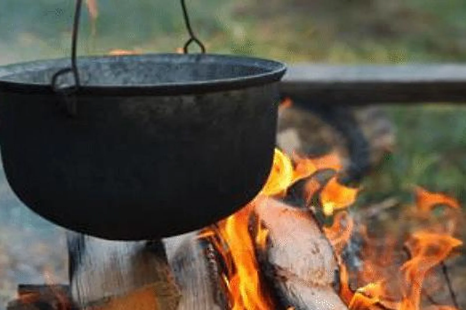 Lieux événementiels, DOMAINE DE LA ROCHE COULOIR