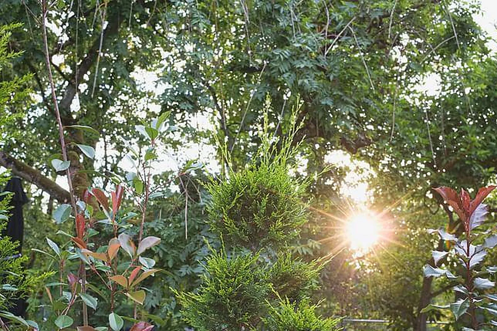 Lieux événementiels, CAHEM - RÉALITÉ VIRTUELLE