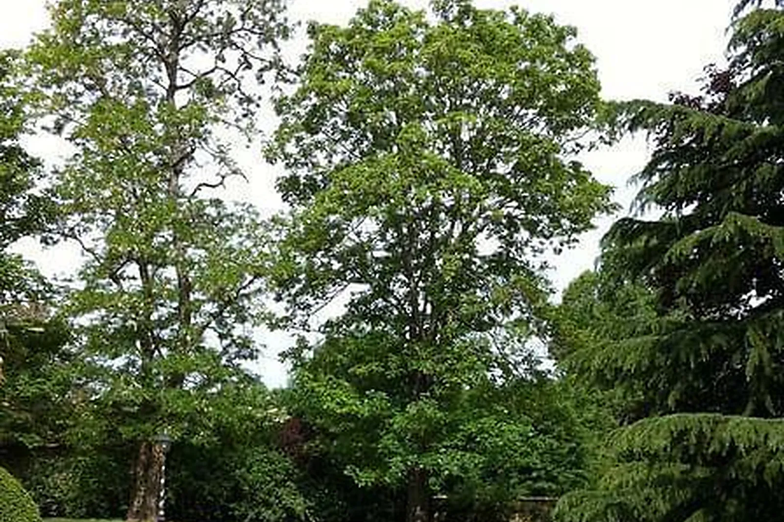 Lieux événementiels, DOMAINE DES ACACIAS