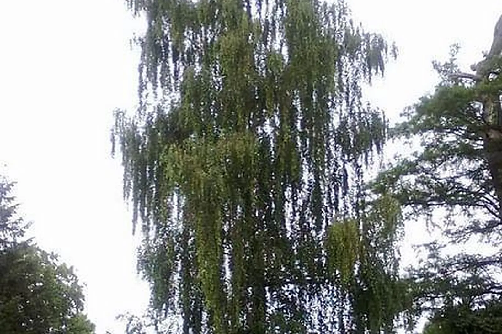 Lieux événementiels, DOMAINE DES ACACIAS