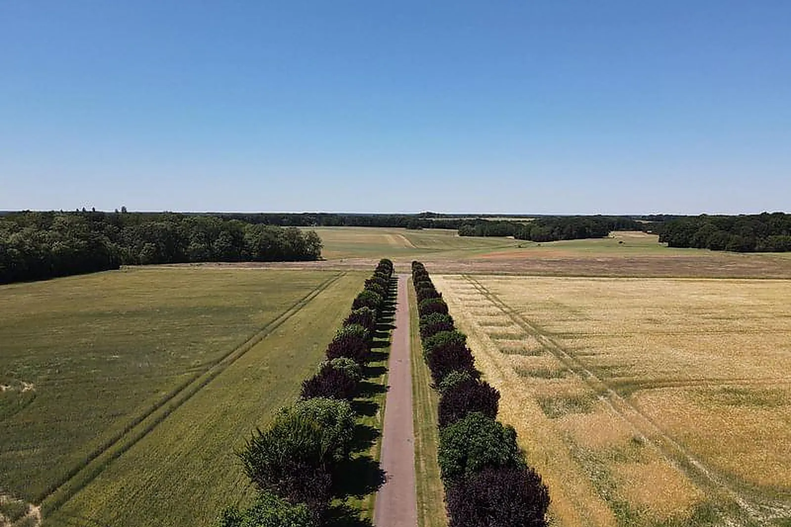 Lieux événementiels, DOMAINE DES CRANÇONS