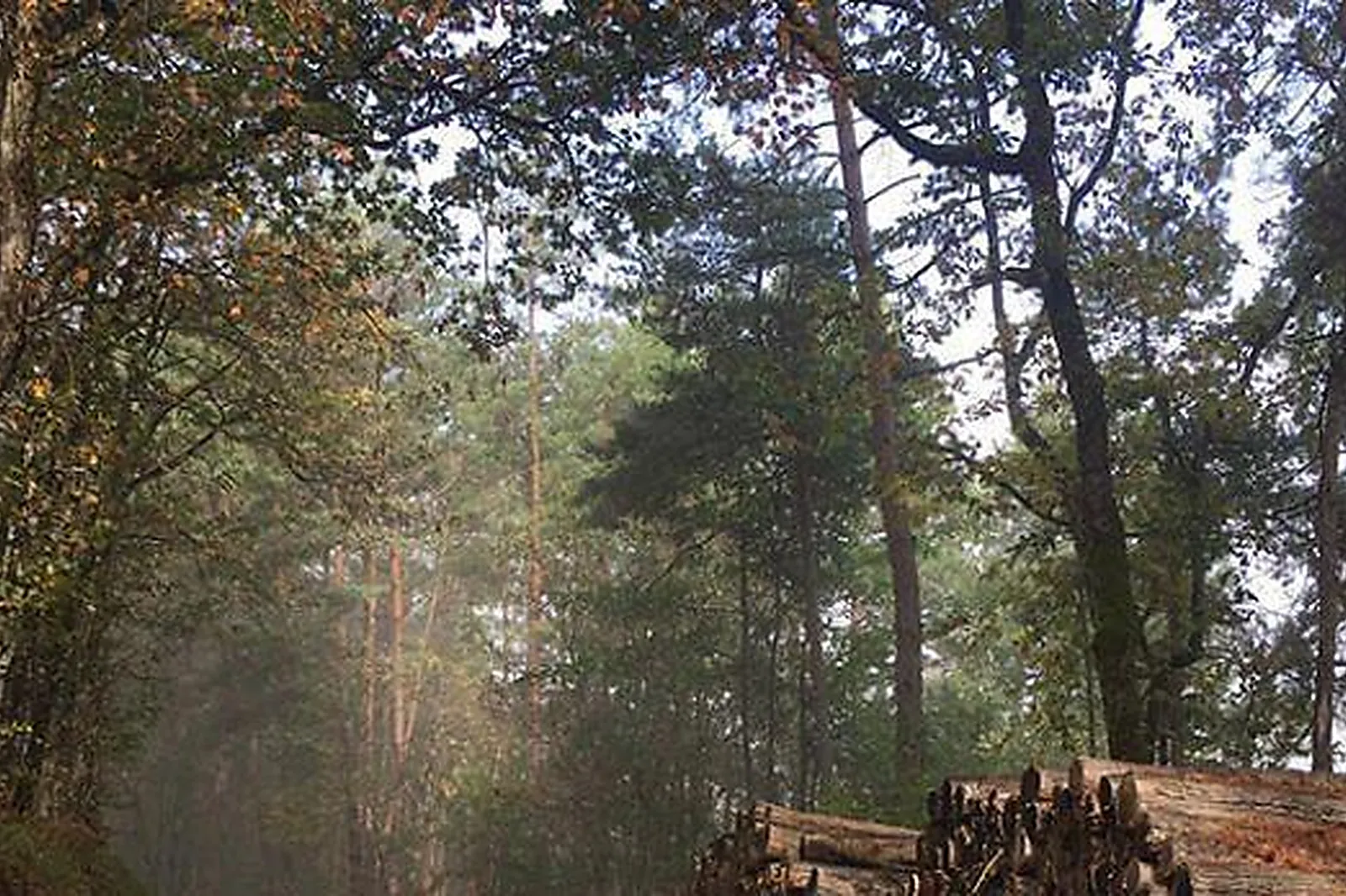Lieux événementiels, DOMAINE DES GRANDS BOIS