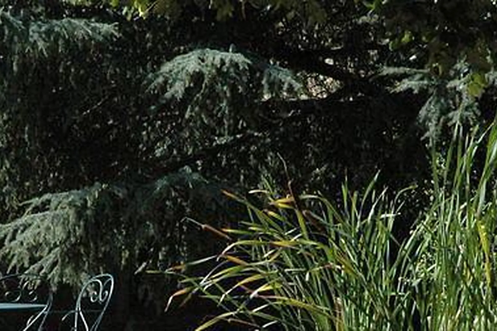 Lieux événementiels, DOMAINE DES HAUTANNES **