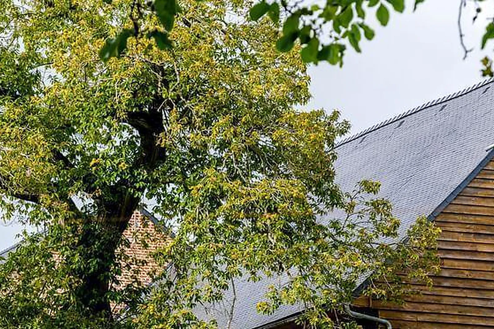 Lieux événementiels, DOMAINE DES LAVANDIÈRES DE FONTAINE