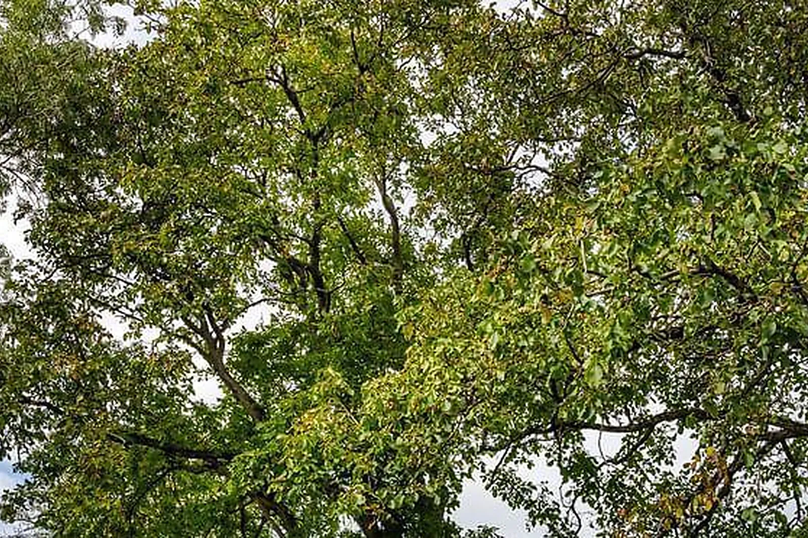 Lieux événementiels, DOMAINE DES LAVANDIÈRES DE FONTAINE