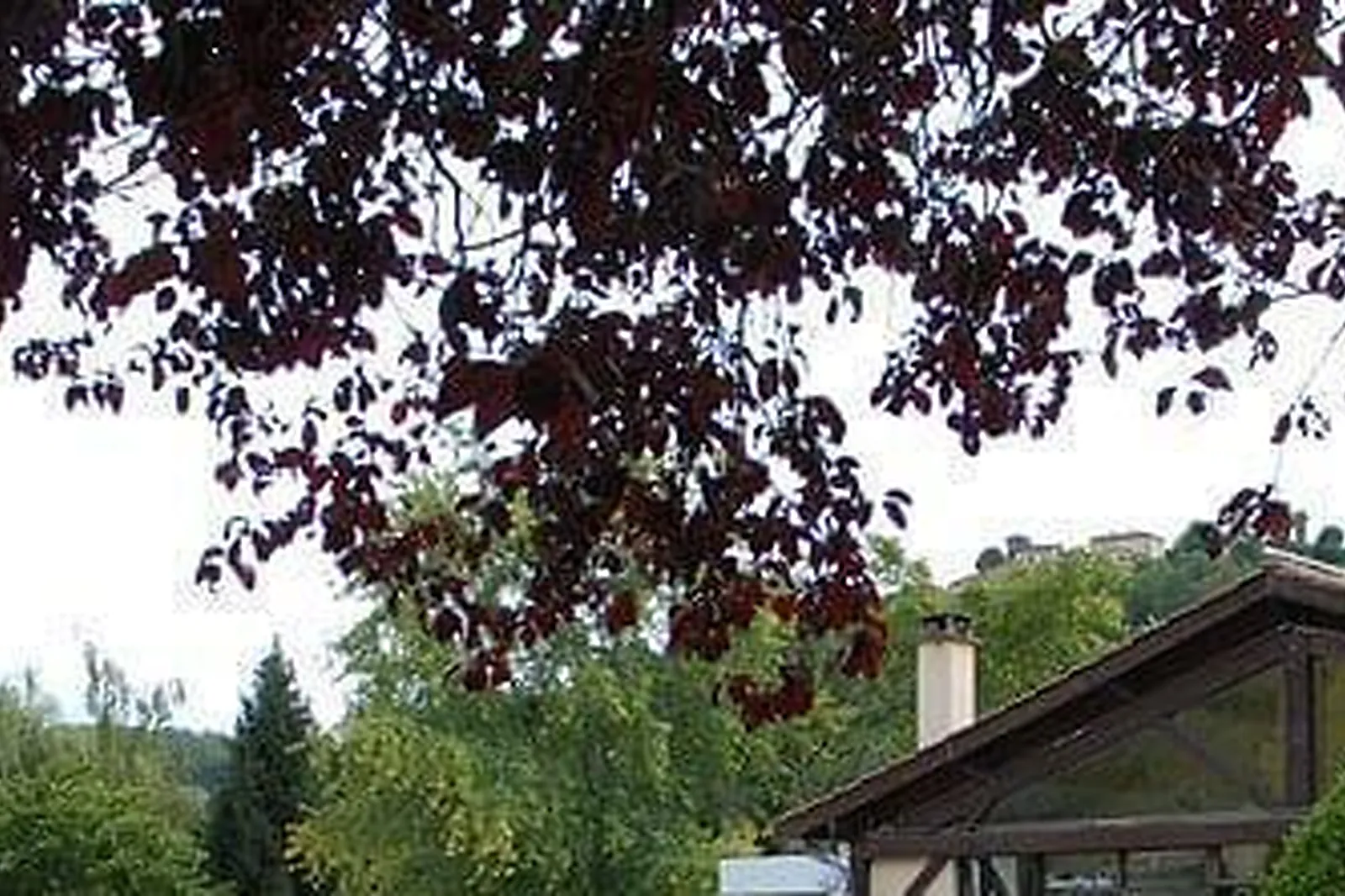 Lieux événementiels, DOMAINE DES PIERRES DORÉES